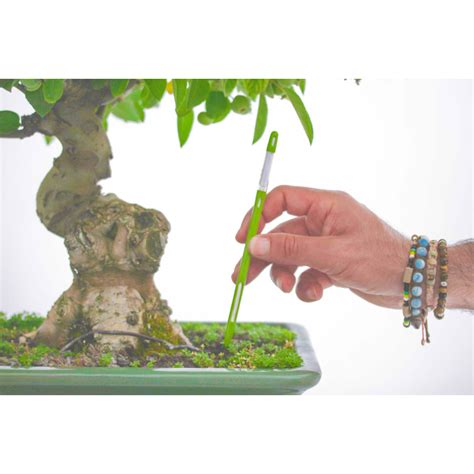 custom how to use moisture meter on bonsai|moisture meter for bonsai tree.